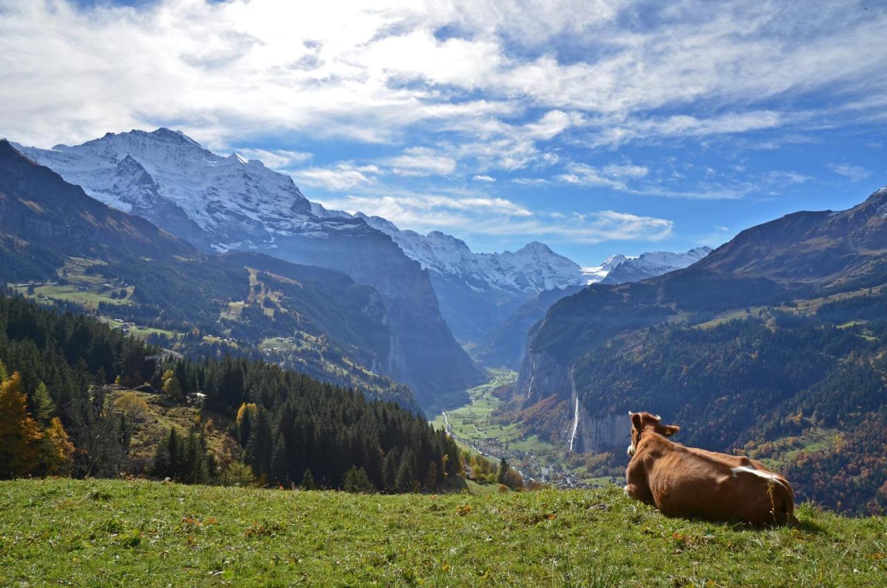 Hotel Victoria Lauberhorn Wengen, A Faern Collection Hotel Ngoại thất bức ảnh